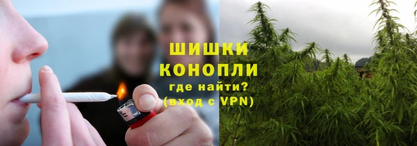 ECSTASY Лагань