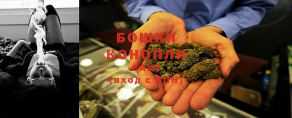 ECSTASY Лагань