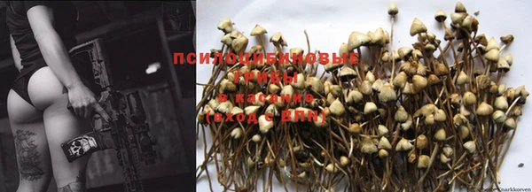 марки nbome Лабытнанги