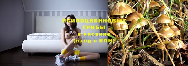 ECSTASY Лагань