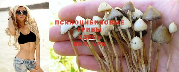 марки nbome Лабытнанги
